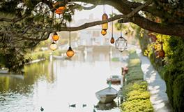 梦见打针预示着什么