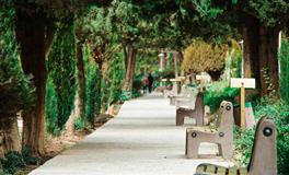 梦见打点滴是什么意思