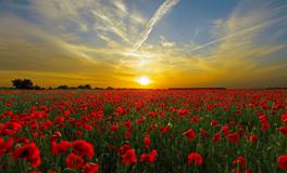 女人梦到别人家拆房子