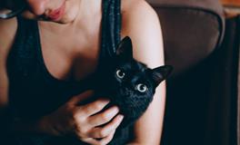 梦见别人给我烟抽