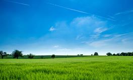 梦到和老公打架