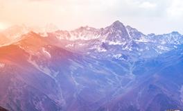 梦见大黑猪是什么意思