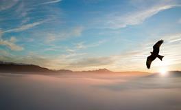 做梦梦见电梯坠落