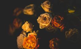 孕妇梦到捡到金佛