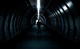 梦到很多大西瓜