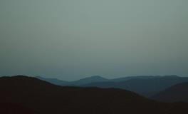 梦见买甘蔗是什么意思