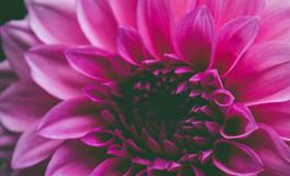 梦见火车站是什么意思