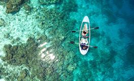 做梦梦到苹果是什么意思