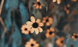 做梦梦到自己失忆了