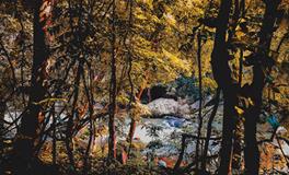 做梦梦到自己哭