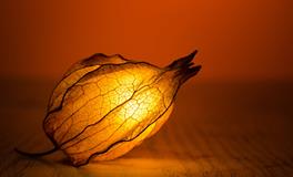 梦到自己眼睛流血