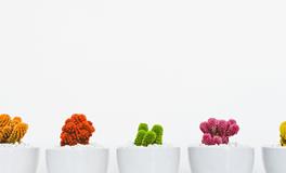 梦见家里门坏了关不上