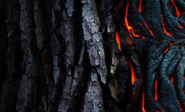 梦到前任回来找我复合