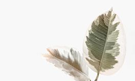 梦见跟好朋友吵架