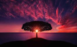 梦见前男友挽回自己