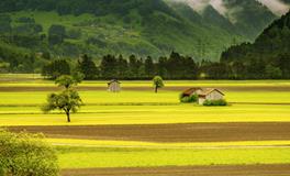 梦见和老公分手