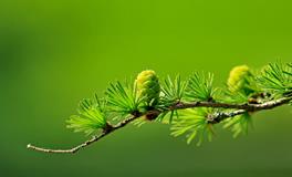 梦见和男朋友分手了哭的很伤心