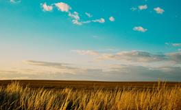 梦见和女朋友吵架分手