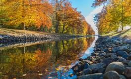 梦见情人不理我是什么意思