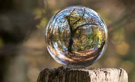 梦到和情人在一起亲密