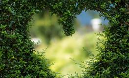 梦见和以前的情人在一起