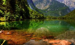 梦见老板是什么意思