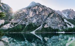 梦到头发白了一半