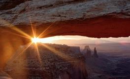 梦到床上有好多虫子