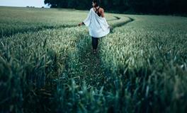 属虎人出生年月日时辰命运解释