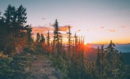 属龙人如何在职场中获得成功