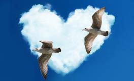 属猴女想要什么样的男朋友