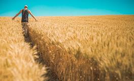 属龙的男人对老婆好吗