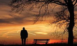 属兔在金木水火土五行里属什么