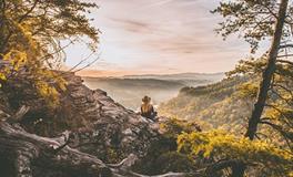 属牛人好运和倒霉的年份