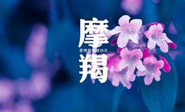 摩羯座2018年11月桃花运详解