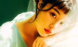 1945年出生的属鸡的人2019年运程大全及破解