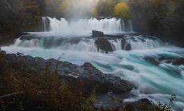 属鸡的历史名人有哪些