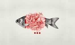 做梦梦见鱼最该警惕的一种，关心财运的人进来