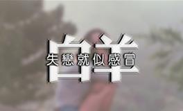 白羊座分手时会怎样