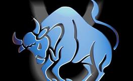 金牛座最喜欢什么课