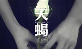 十二星座谁最多人追？天蝎座排第几