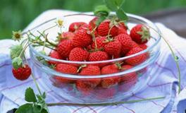 双鱼座代表的水果