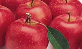 梦见吃苹果的相关解释