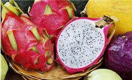 梦见火龙果是什么意思