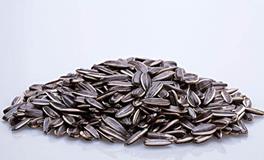 梦见吃瓜子周公解梦