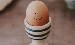 董易林2019年2月19日生肖运势