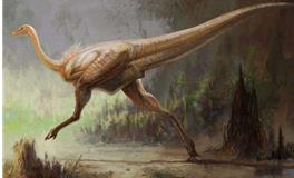 天秤座代表的恐龙