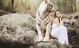 周公解梦梦见老虎预示什么