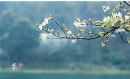 春分节气，春分节气的注意事项