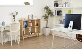 办公室养花风水首选植物